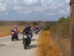 XIX Concentracion - 2012